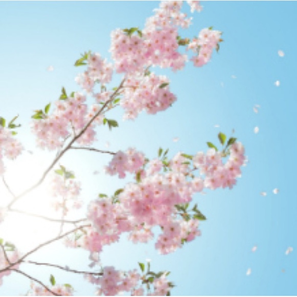 Meet your Posher, Melody